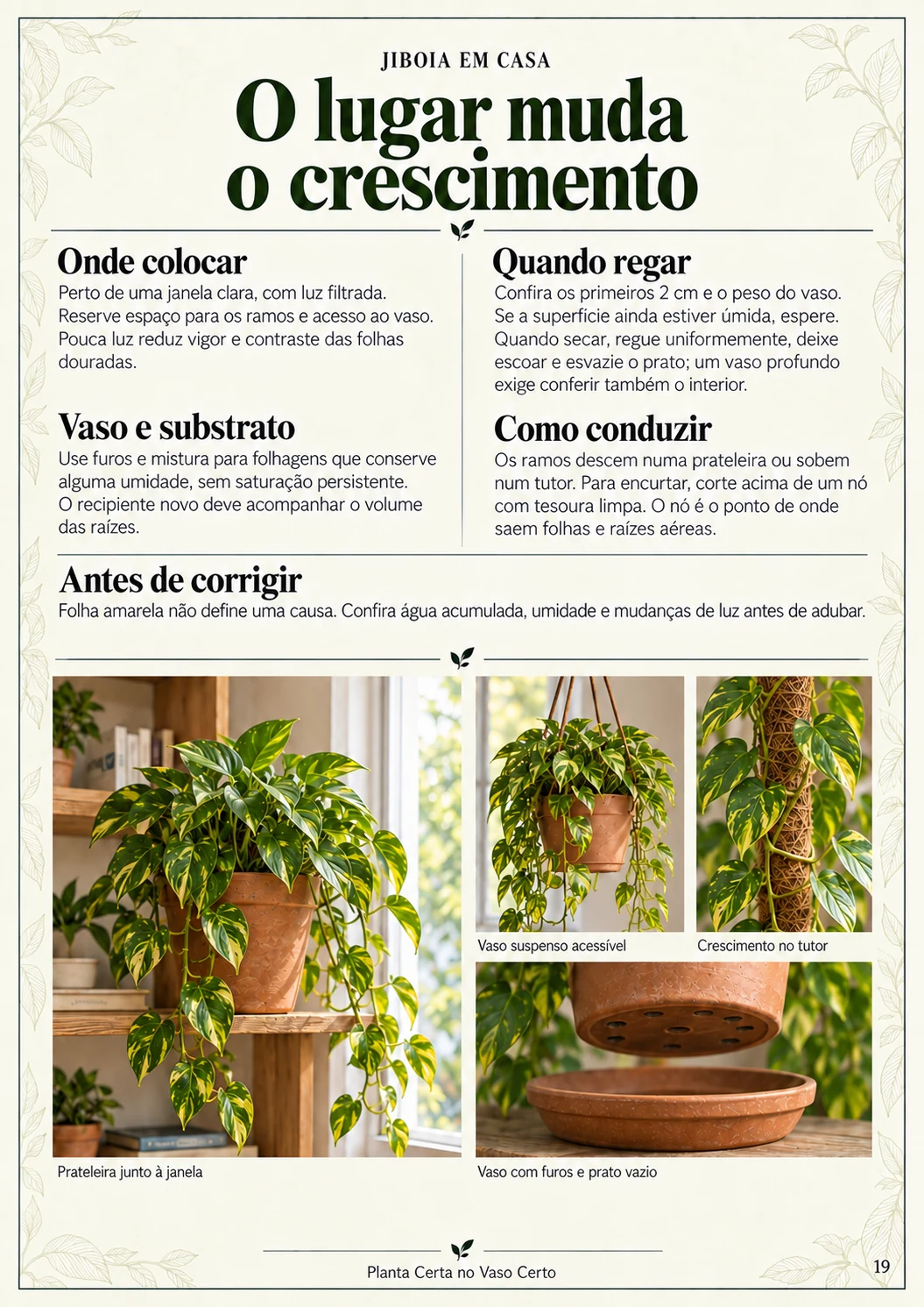 Página real do guia Planta Certa no Vaso Certo