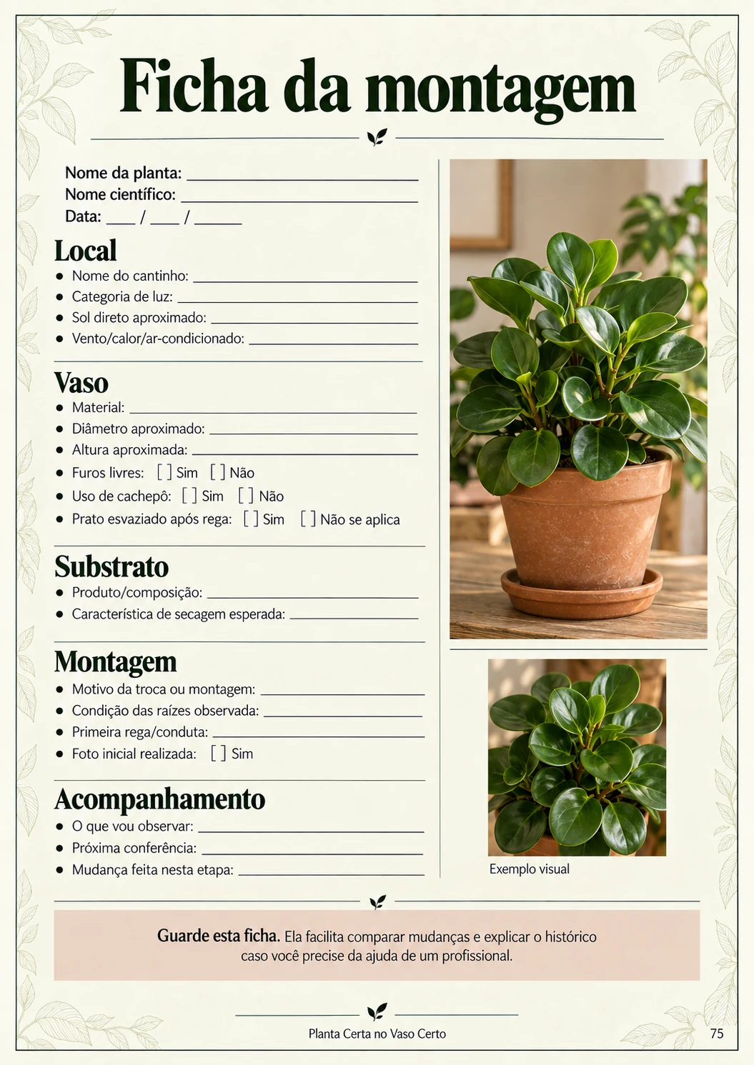 Página real do guia Planta Certa no Vaso Certo