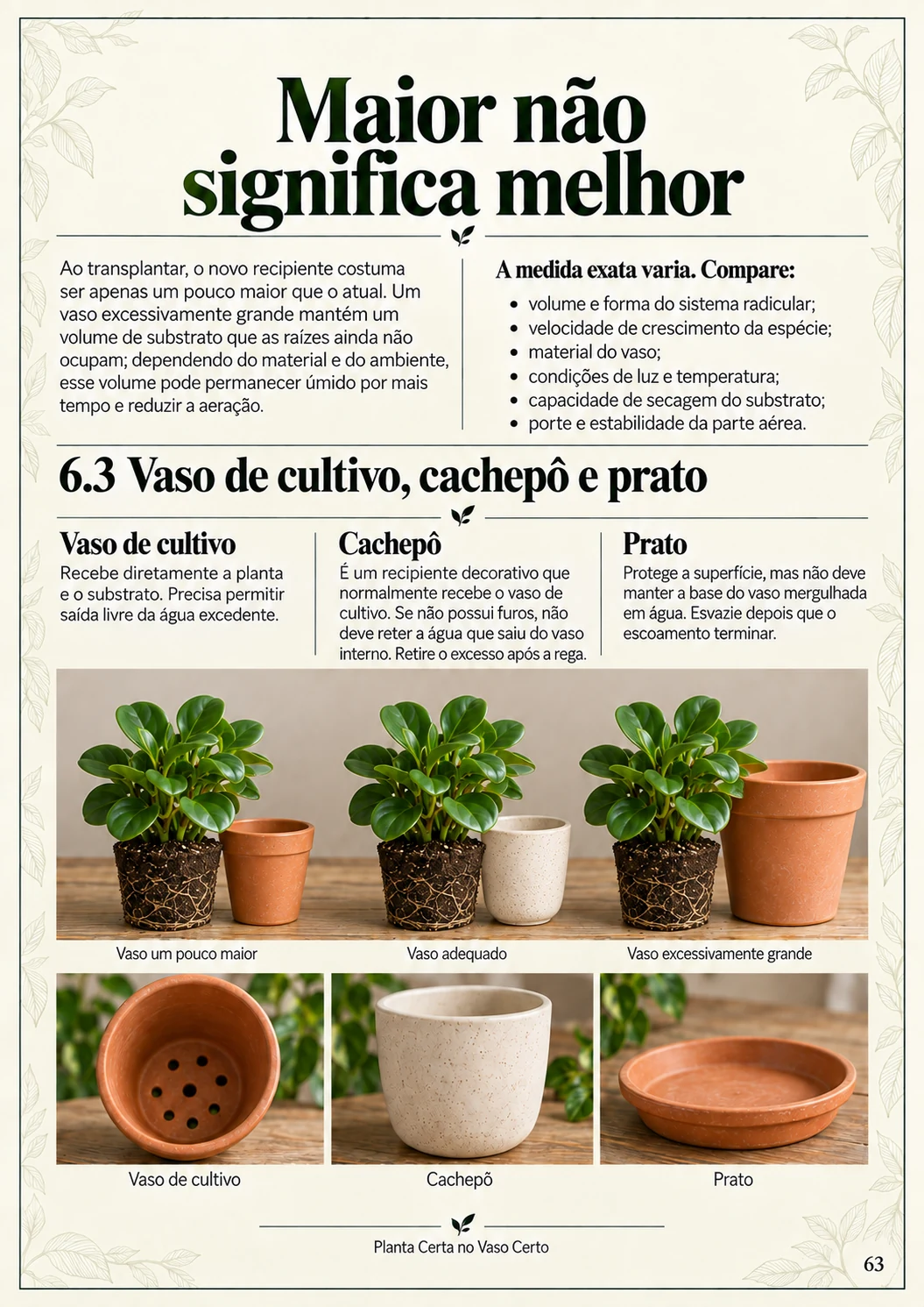 Página real do guia Planta Certa no Vaso Certo